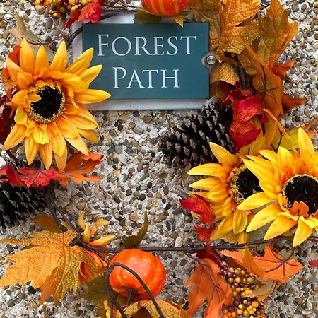 Forest Path Luxury Studio Apartment With Large Bedroom Bathroom And Sauna Sleeps Up To 4 밸리나인치 외부 사진