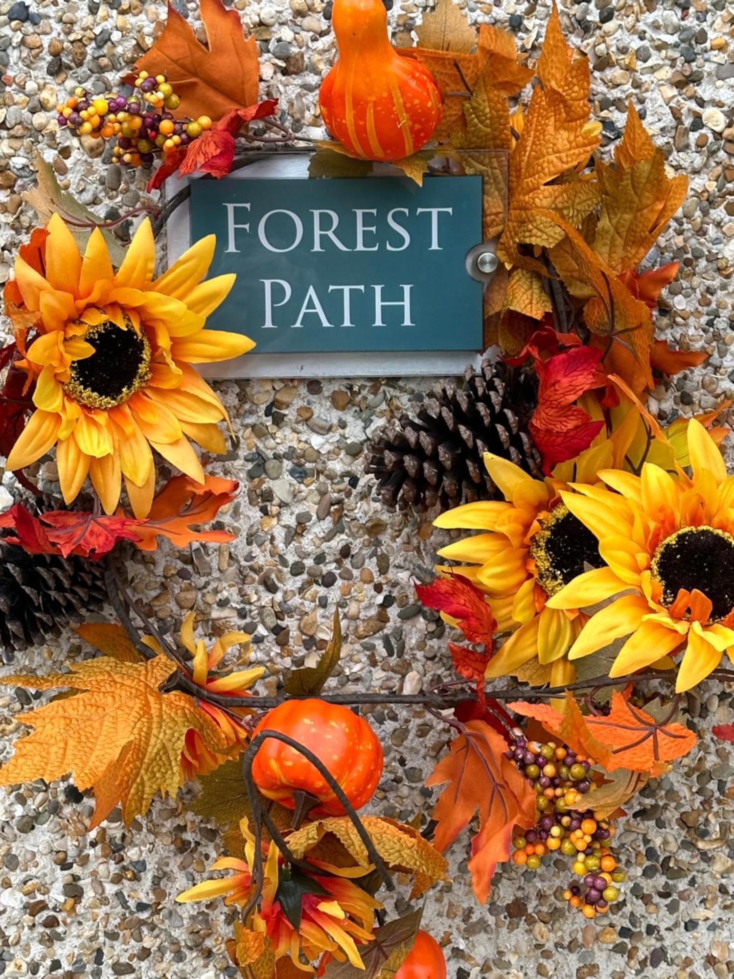 Forest Path Luxury Studio Apartment With Large Bedroom Bathroom And Sauna Sleeps Up To 4 밸리나인치 외부 사진
